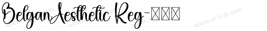BelganAesthetic Reg字体转换